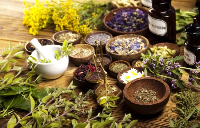 Tıbbi-ve-Aromatik-Bitkiler